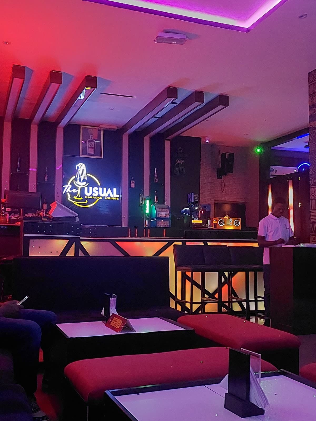 THE USUAL KARAOKE LOUNGE